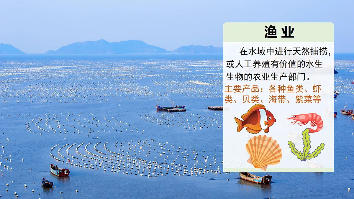 17254806第7页
