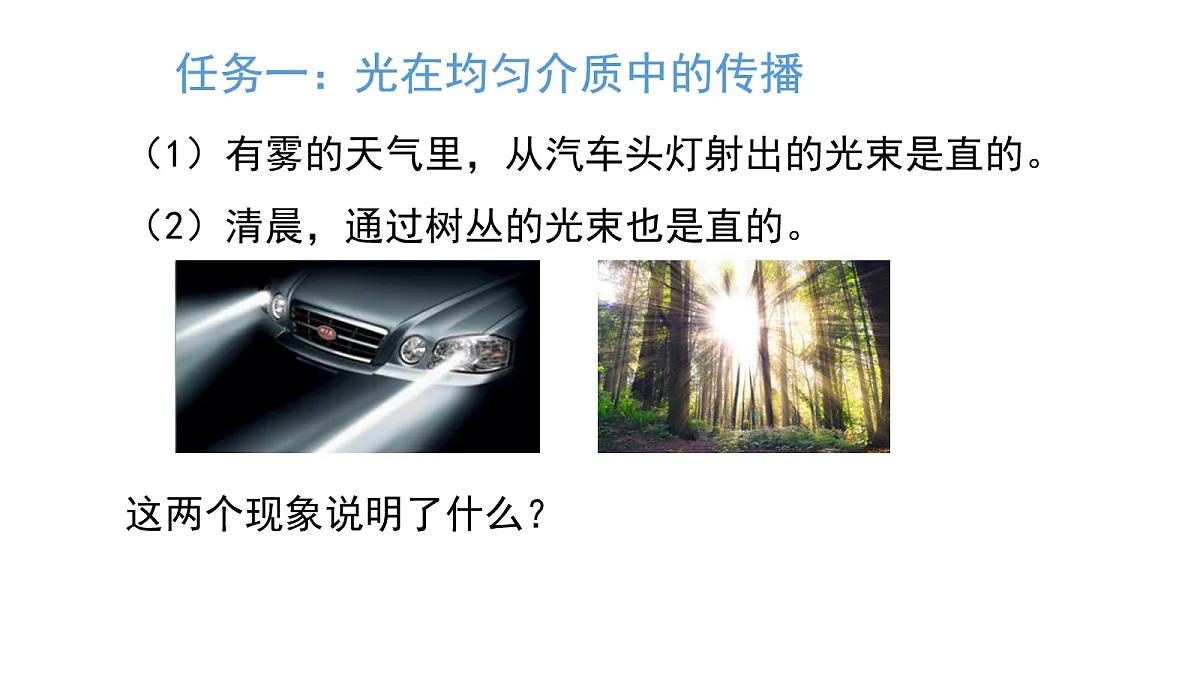 17254899第4页