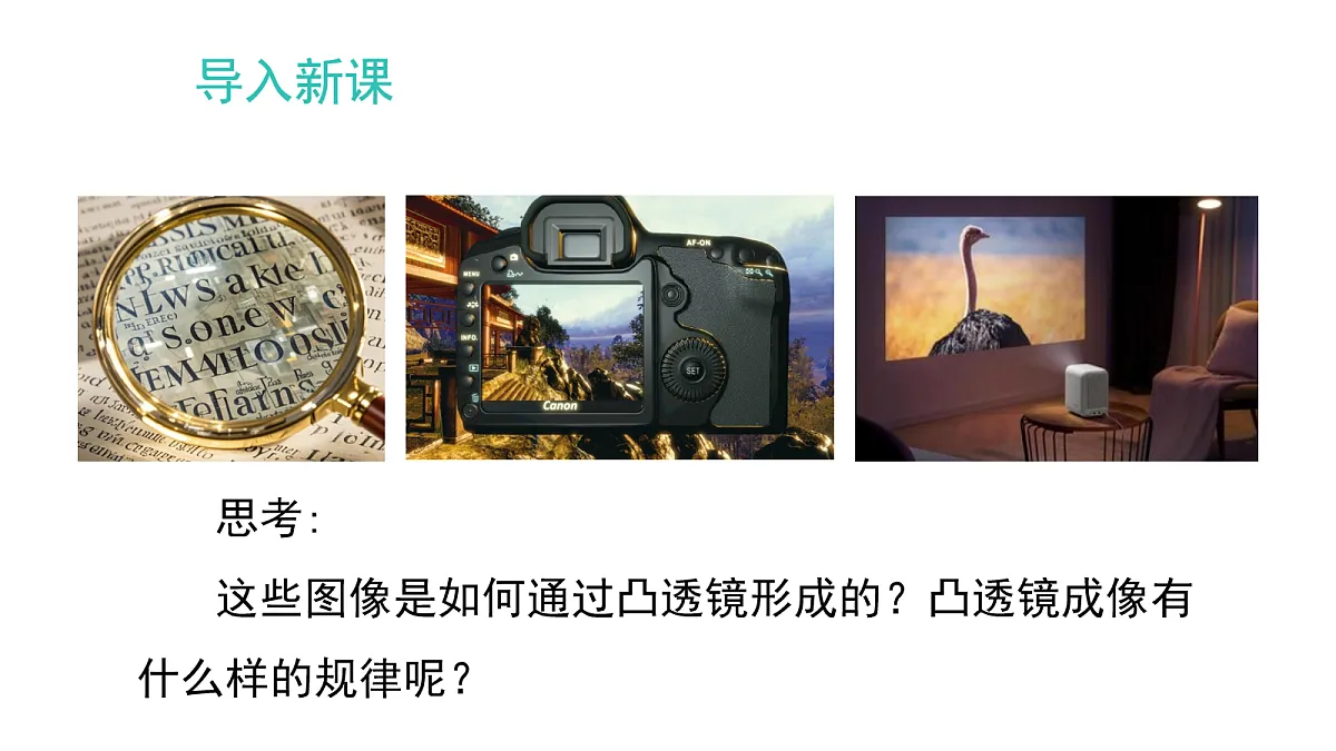 17254929第4页