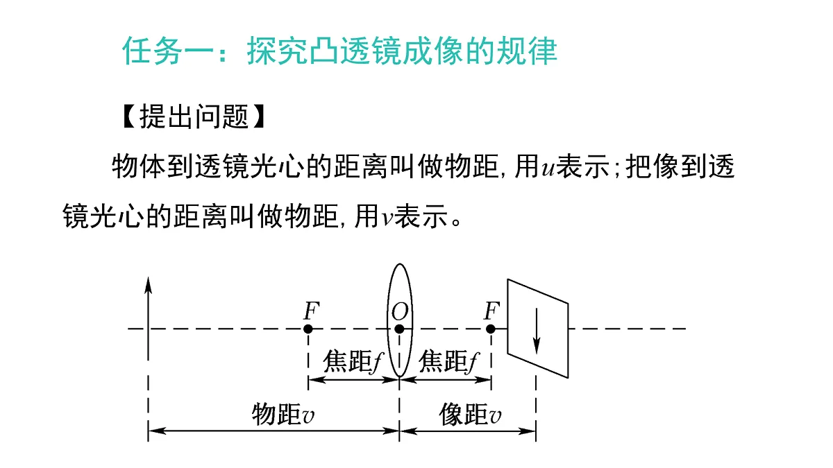 17254929第5页