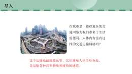 【核心素養(yǎng)目標(biāo)】蘇科版初中生物八年級上冊6.14.2《血管與心臟》課件