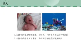 【核心素養(yǎng)目標(biāo)】蘇科版初中生物八年級上冊6.15.1《人體與外界進行氣體交換》課件