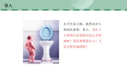 【核心素養(yǎng)目標(biāo)】蘇科版初中生物八年級上冊6.15.2《人體內(nèi)廢物和多余水的排出》課件