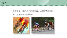 【核心素養(yǎng)目標(biāo)】蘇科版初中生物八年級上冊6.16.1《人體的神經(jīng)調(diào)節(jié)》課件