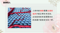 八年级上册（2024）第一节 血液是物质运输的载体精品课件ppt