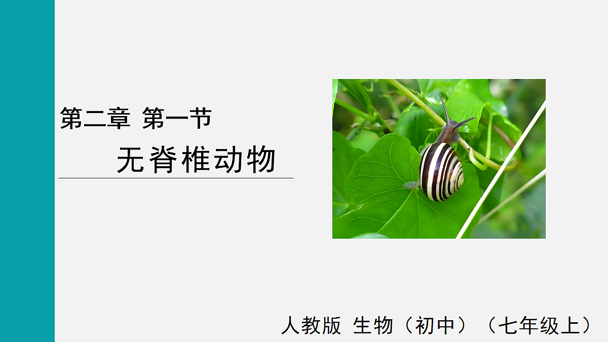 17255396第1页