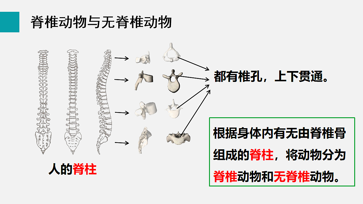 17255396第4页