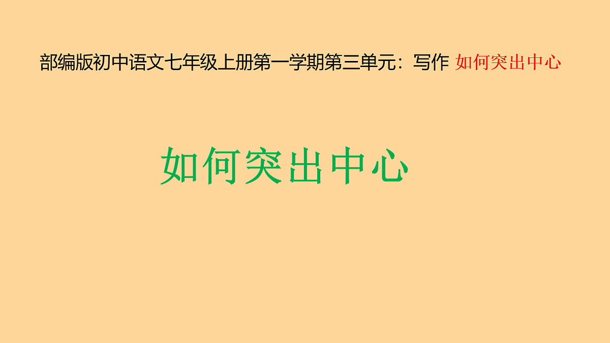 17255521第1页