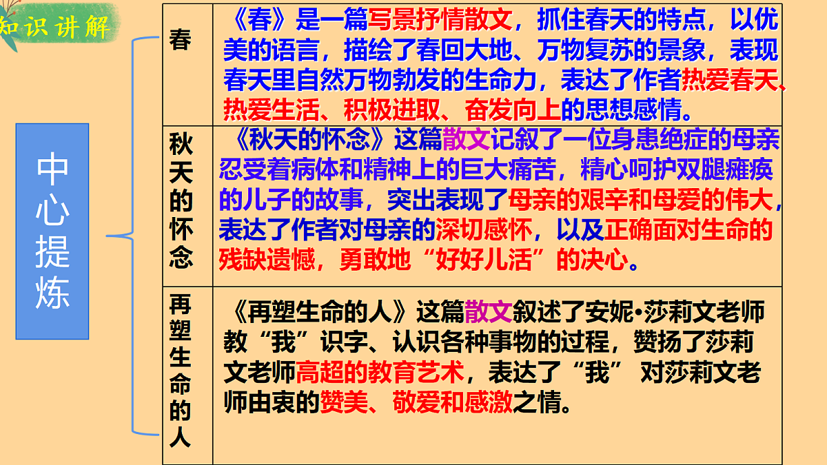 17255521第7页