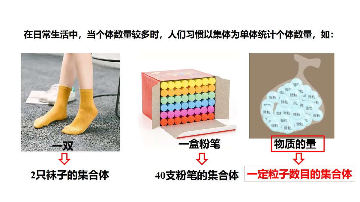 17255663第3页