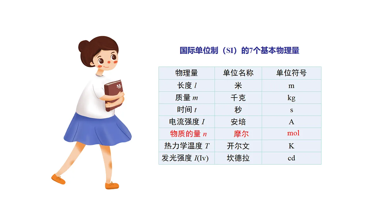 17255663第5页
