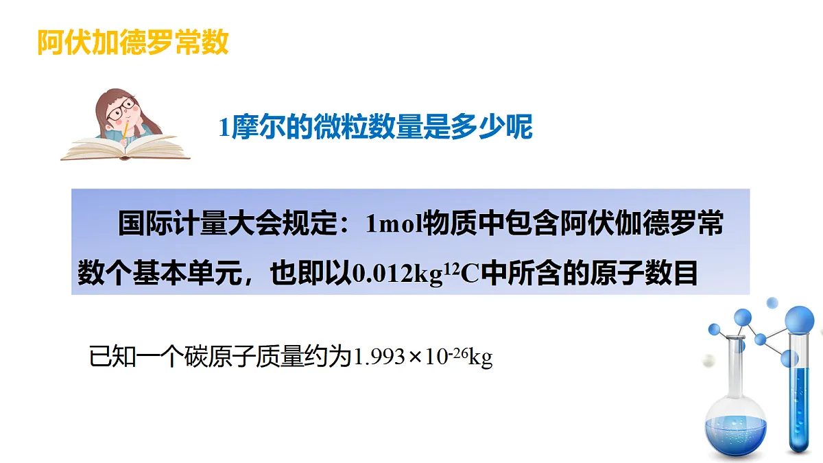 17255663第8页