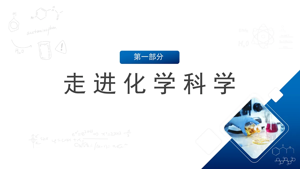 17255667第4页