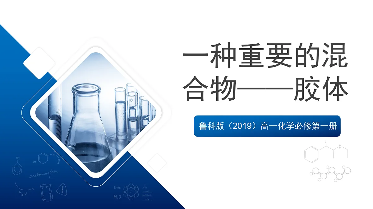 17255670第1页