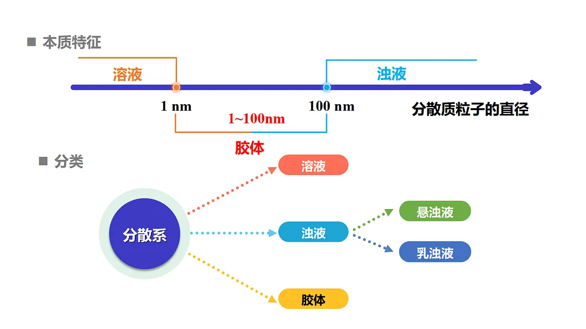17255670第6页