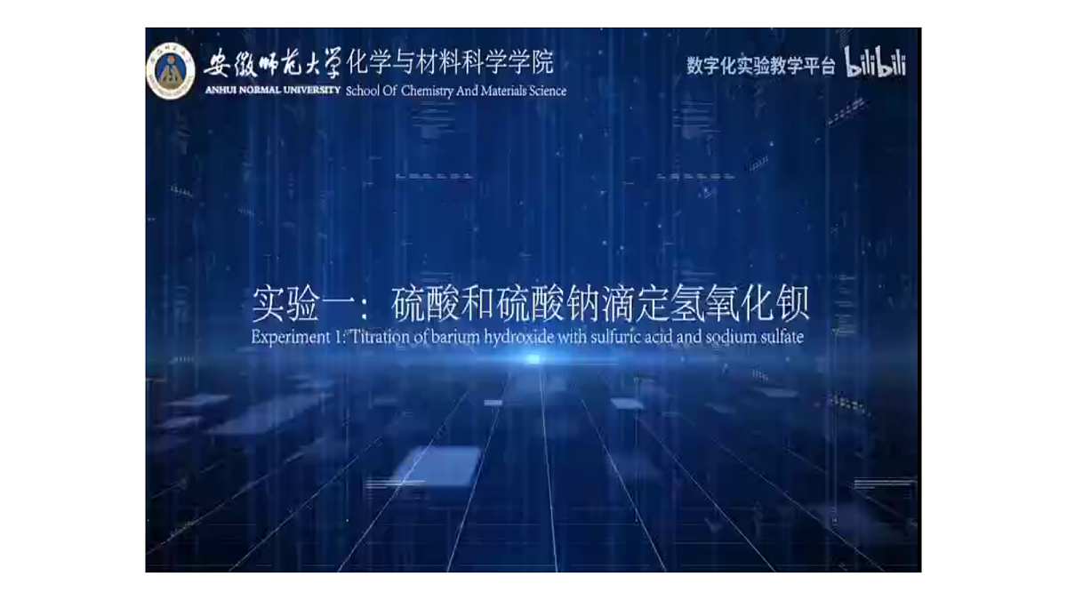17255672第5页
