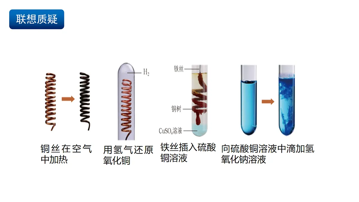 17255674第3页