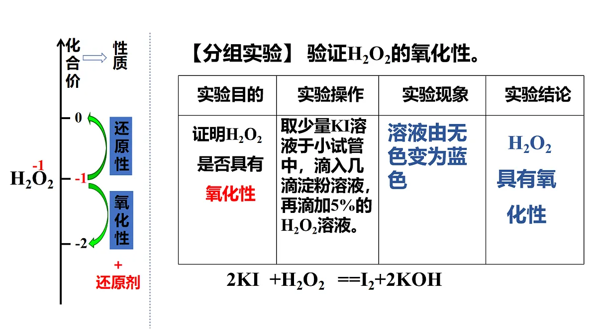 17255676第8页