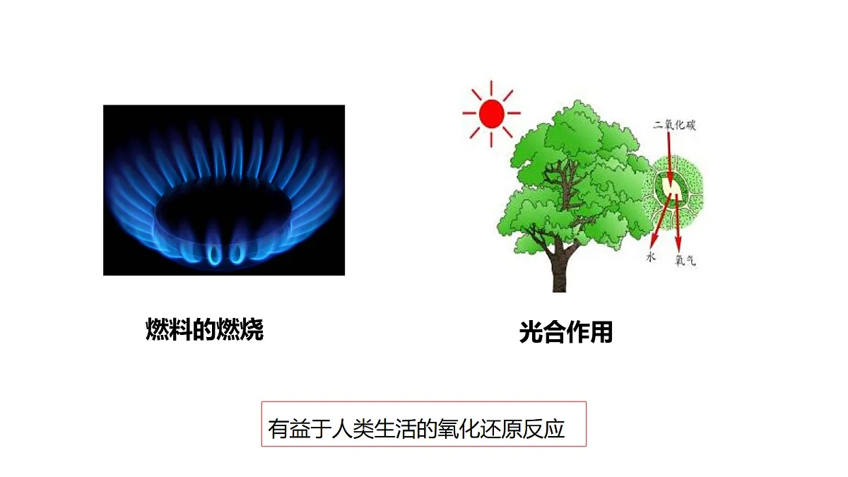 17255677第3页