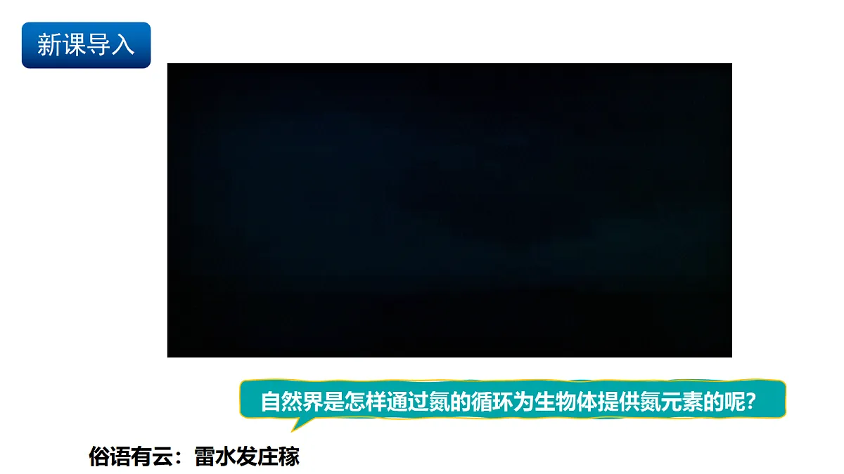 17255684第2页