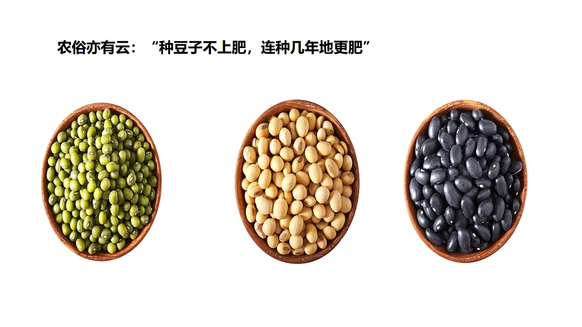 17255684第3页