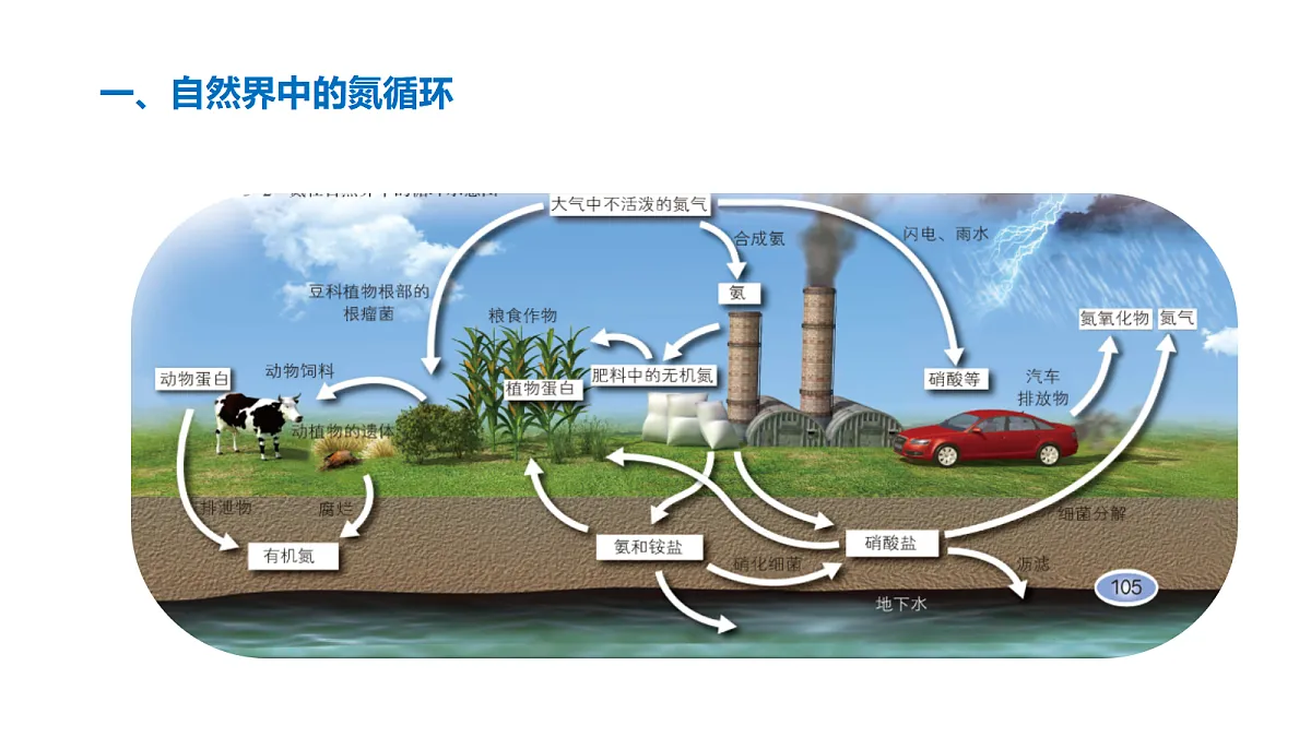 17255684第4页