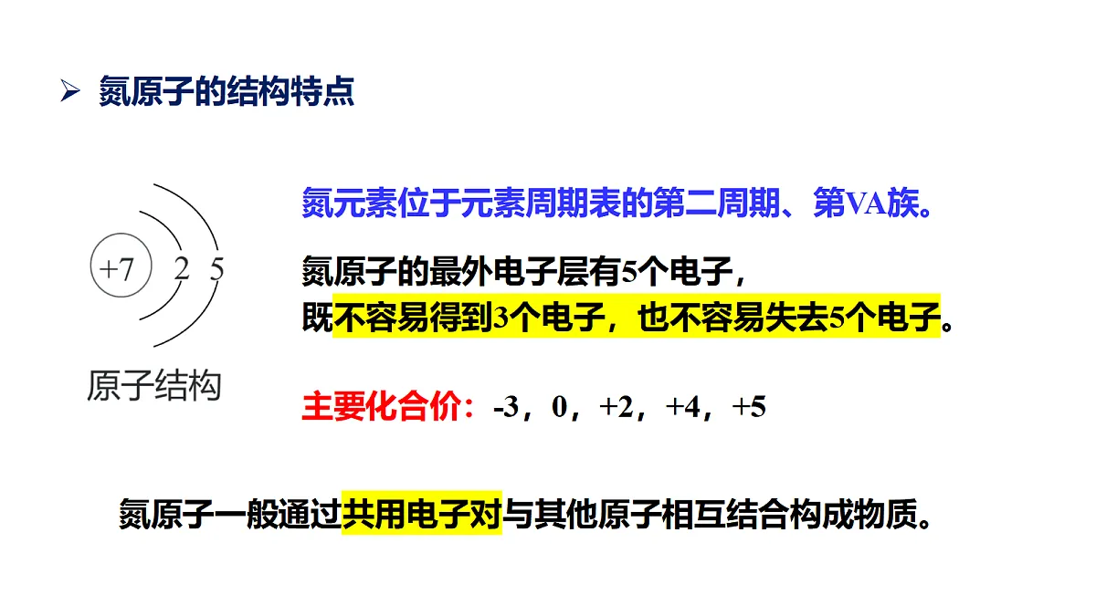 17255684第7页
