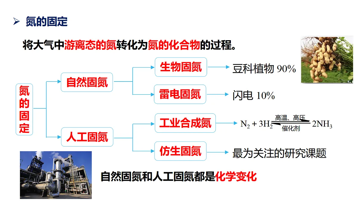 17255684第8页