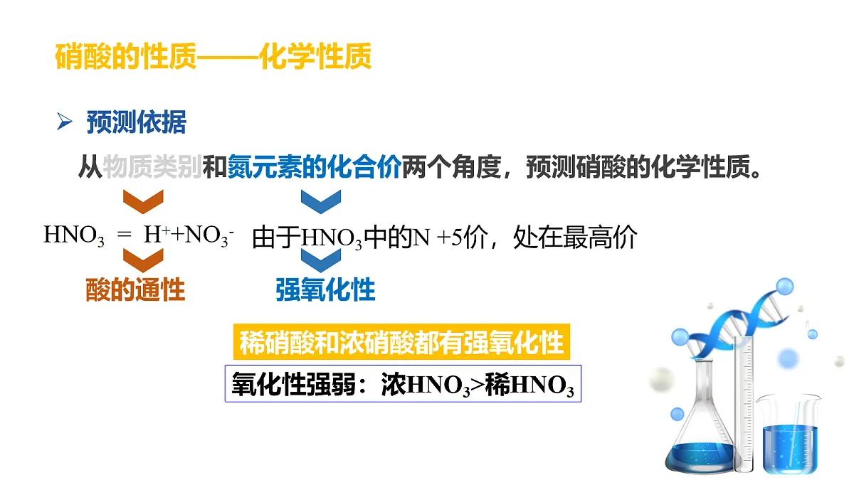 17255686第7页