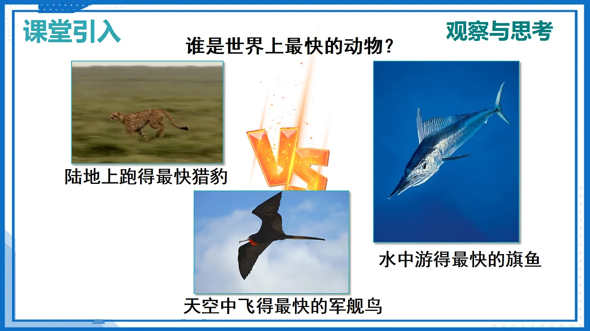 17255773第4页