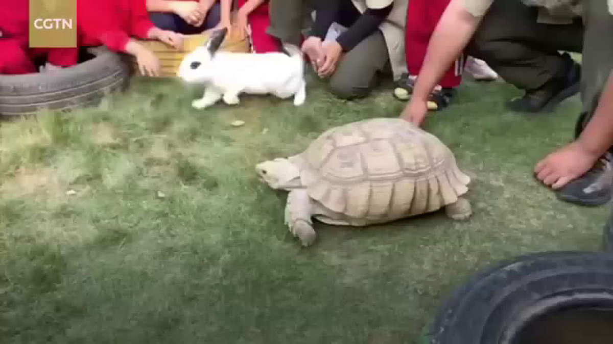 17256175第6页