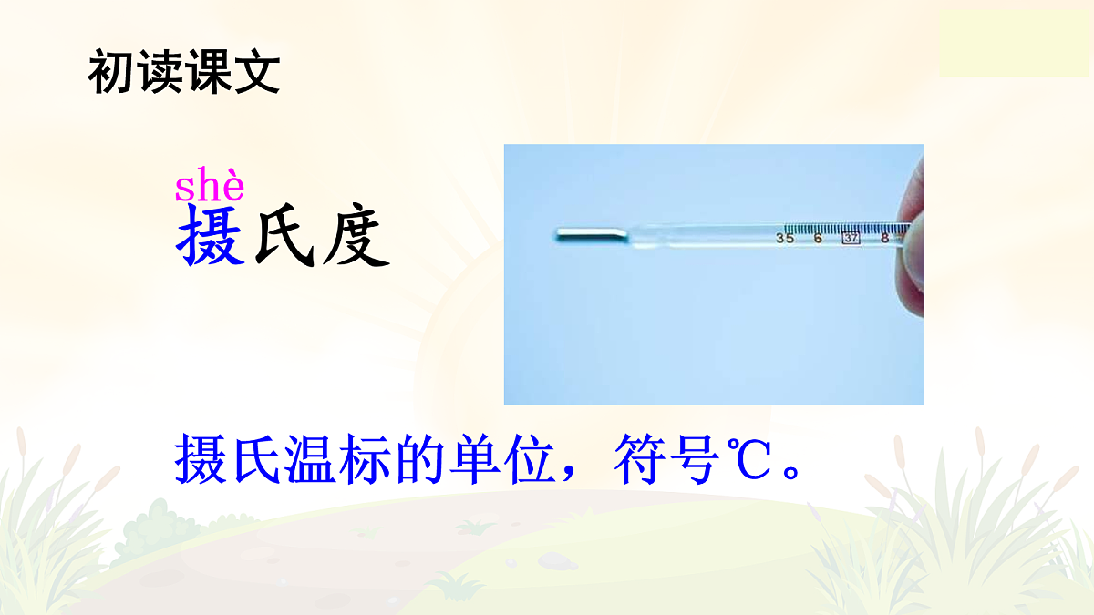 17256246第6页