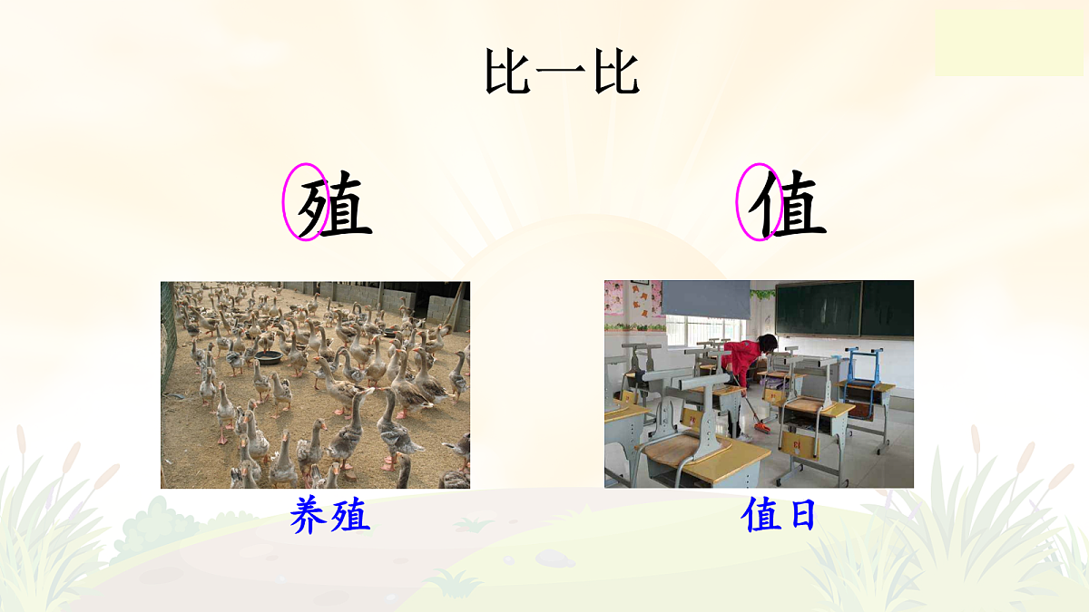 17256246第8页
