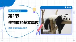浙教版科學(xué)七年級(jí)上冊(cè) 第二章 第一節(jié) 生物體的基本單位 第一課時(shí) 教學(xué)課件