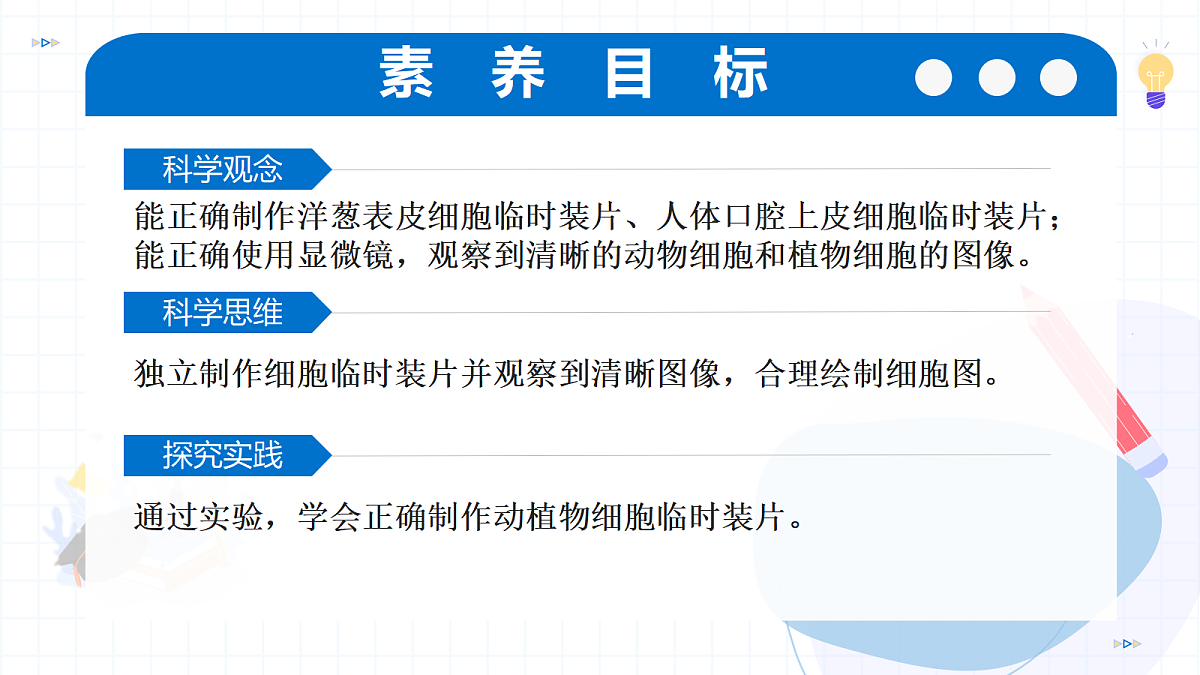17256747第3页
