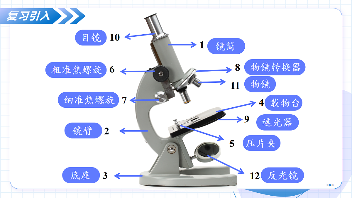 17256747第4页