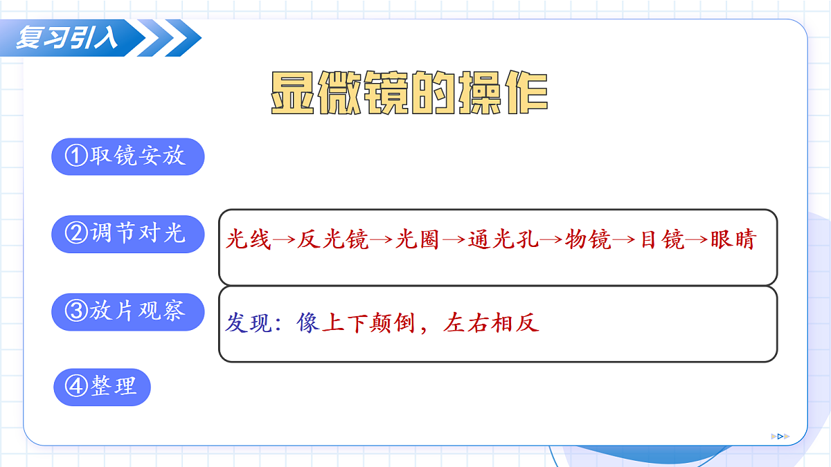 17256747第5页