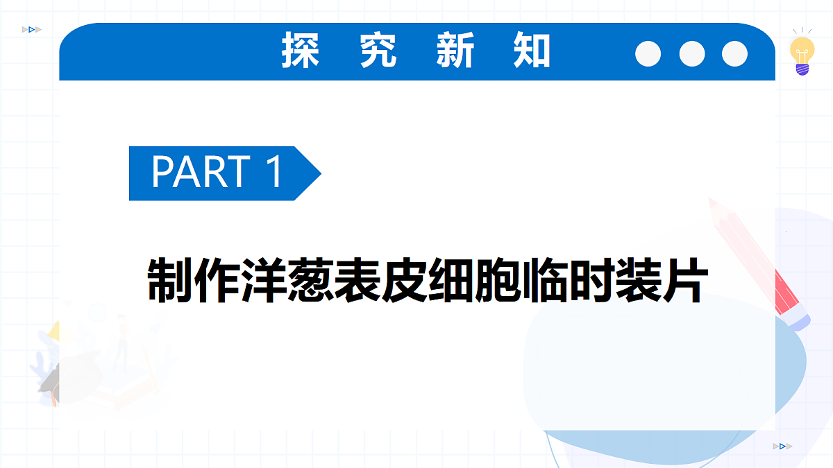 17256747第6页