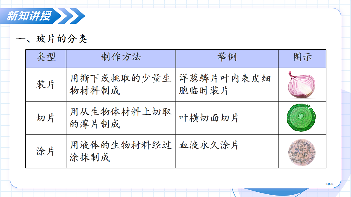 17256747第7页