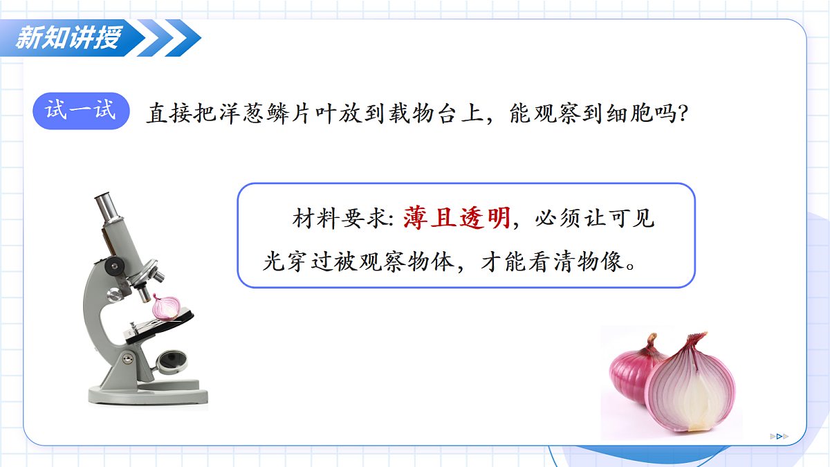 17256747第8页