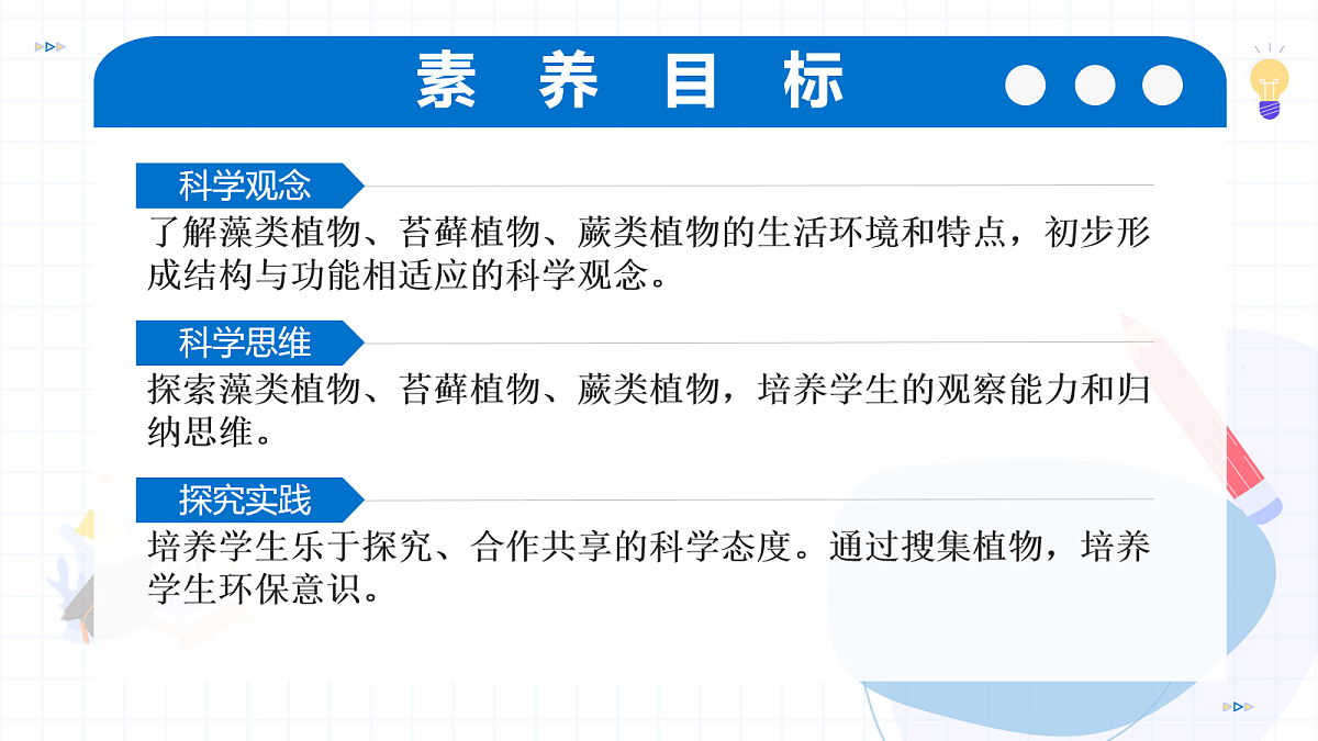 17256750第3页