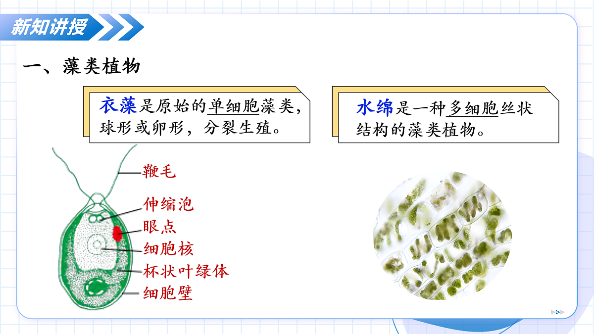 17256750第8页