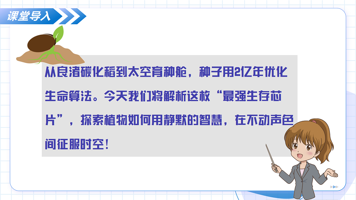 17256751第6页