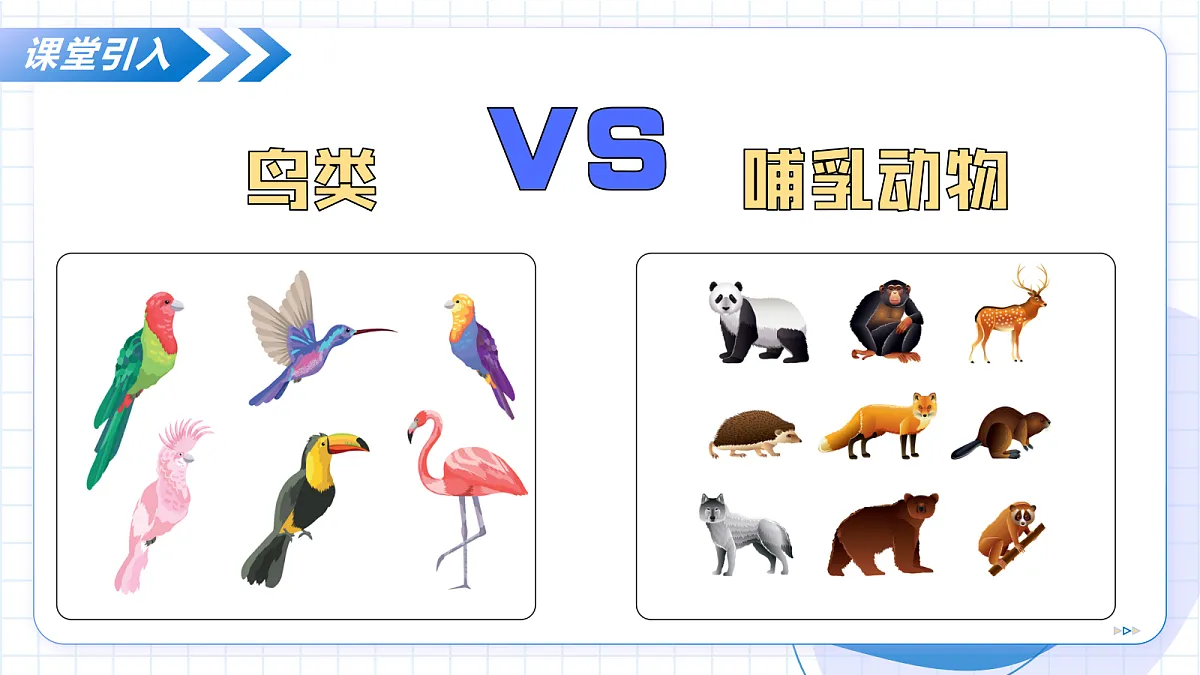 17256754第5页