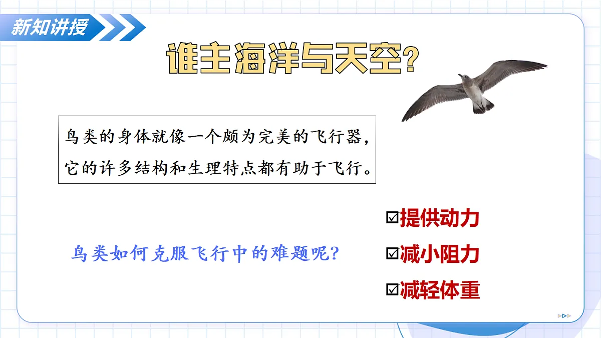 17256754第7页