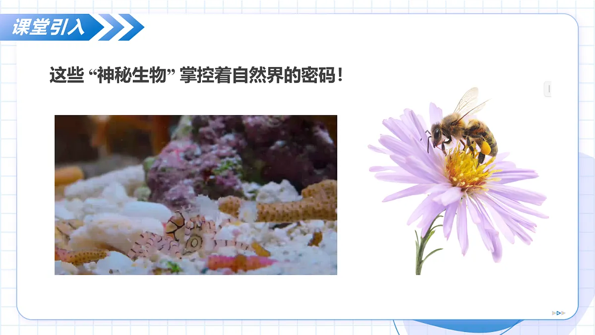 17256755第5页
