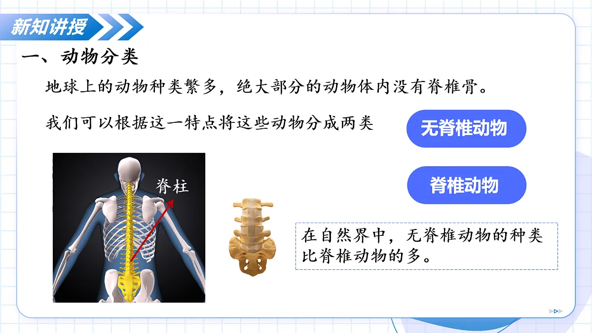 17256755第7页