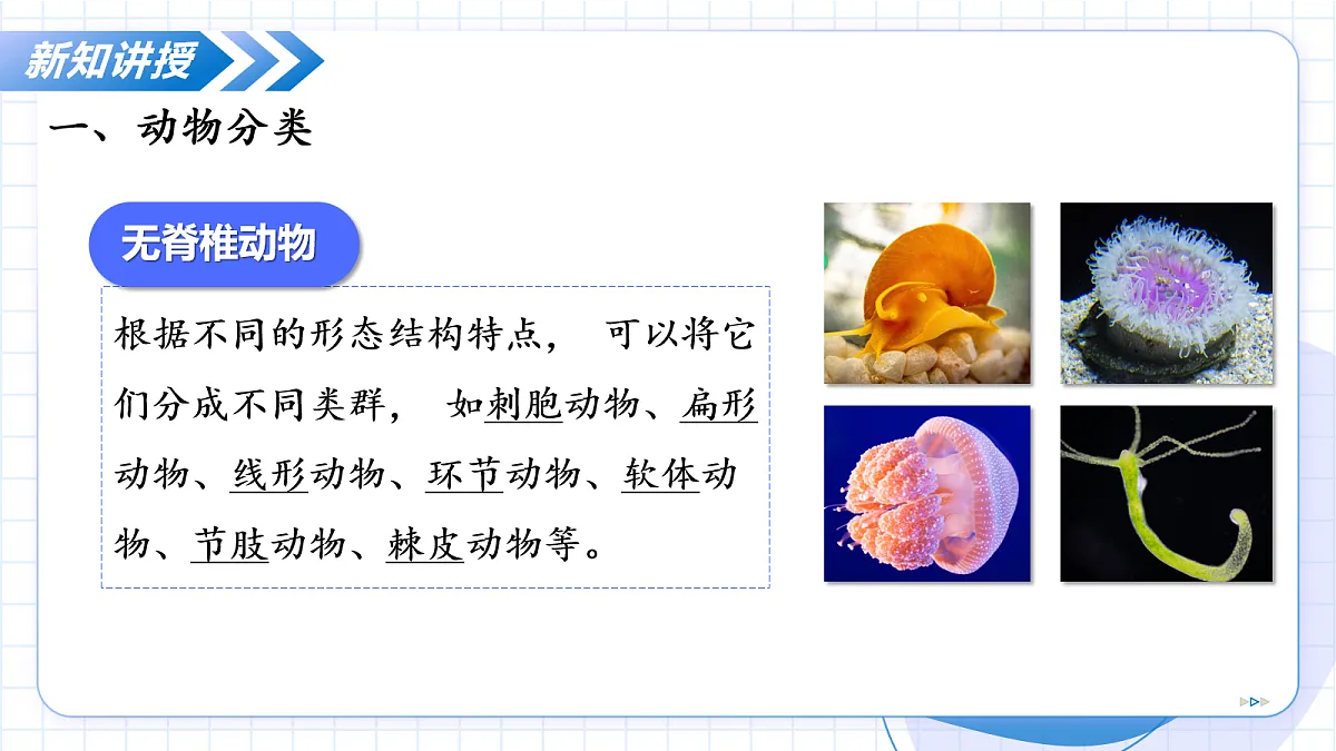 17256755第8页