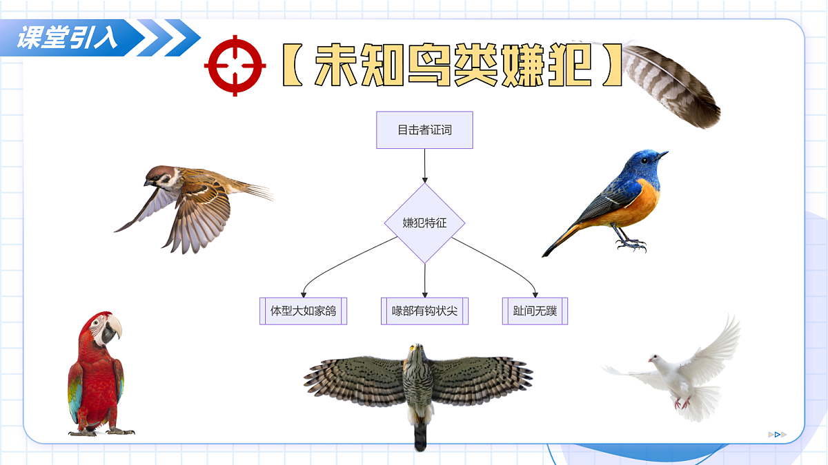 17256756第5页