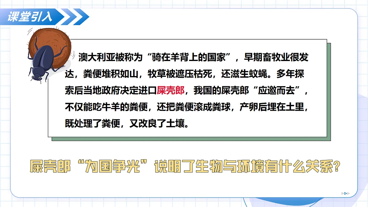 17256758第4页